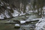 IMG_351062.jpg