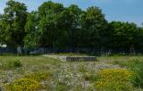 P2090150-Flugplatzheide.jpg